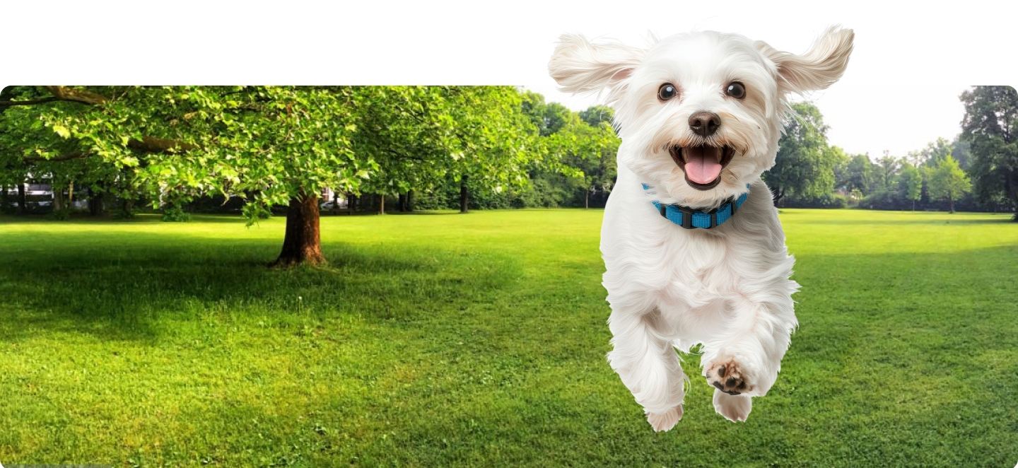 Mitmar Petfood